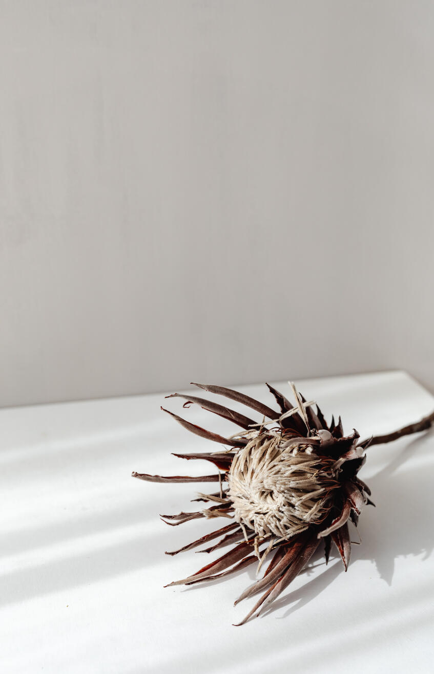 Programme d'écriture Un programme d'écriture guidée structuré en 6 étapes #journaling