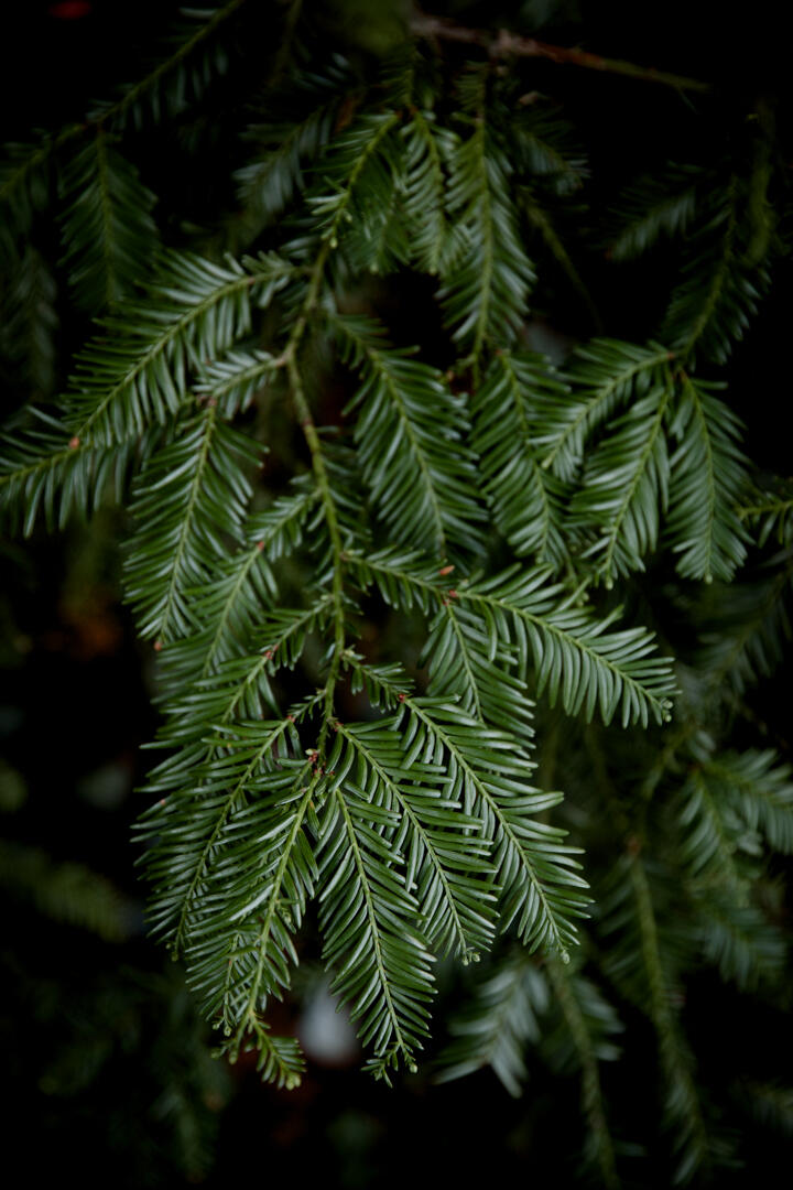 Programme d'écriture Un programme d'écriture guidée structuré en 6 étapes #journaling